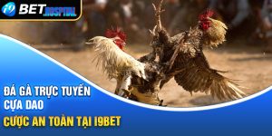 Đá gà trực tuyến cựa dao – Cược an toàn tại I9BET