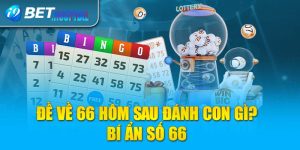 Đề Về 66 Hôm Sau Đánh Con Gì? Bí Ẩn Số 66