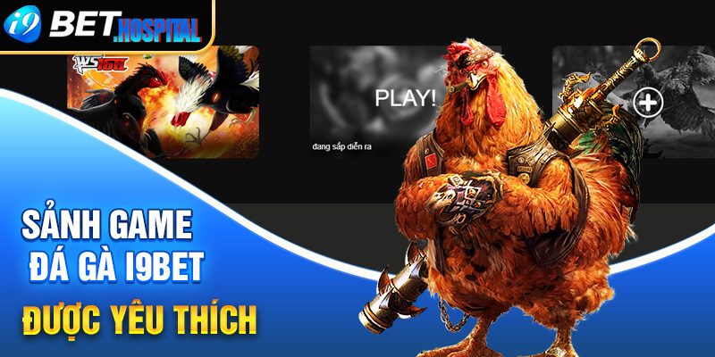 Sảnh game đá gà i9BET được yêu thích bởi nhiều khác biệt 